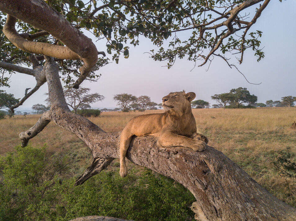 murchison falls National Park